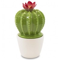 dekorácia kaktus
