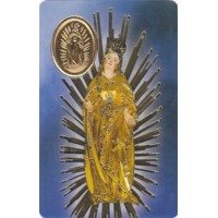 RCC kartička  – Panna Mária Levočská