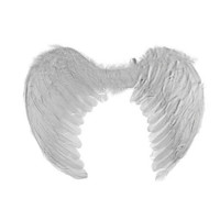 Krídla pre anjela