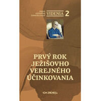 Videnia 2: Prvý rok Ježišovho verejného účinkovania
