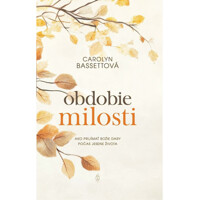 Obdobie milosti