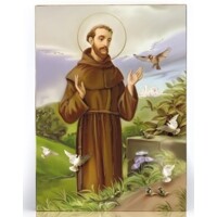 Obrázok lbez textu - sv. František z Assisi